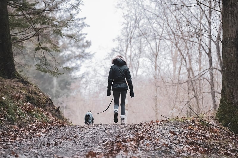 Woman Walking in Forest